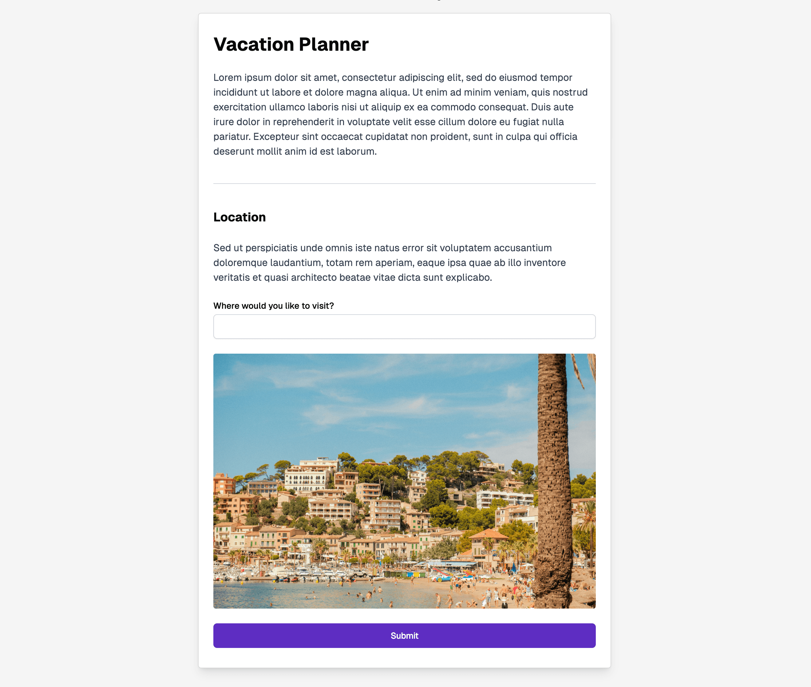 A form with display questions including a heading, paragraph, and an image.