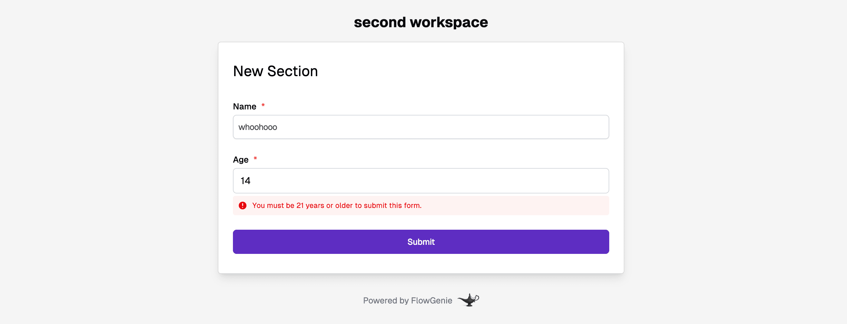 Error message from a validation flow.